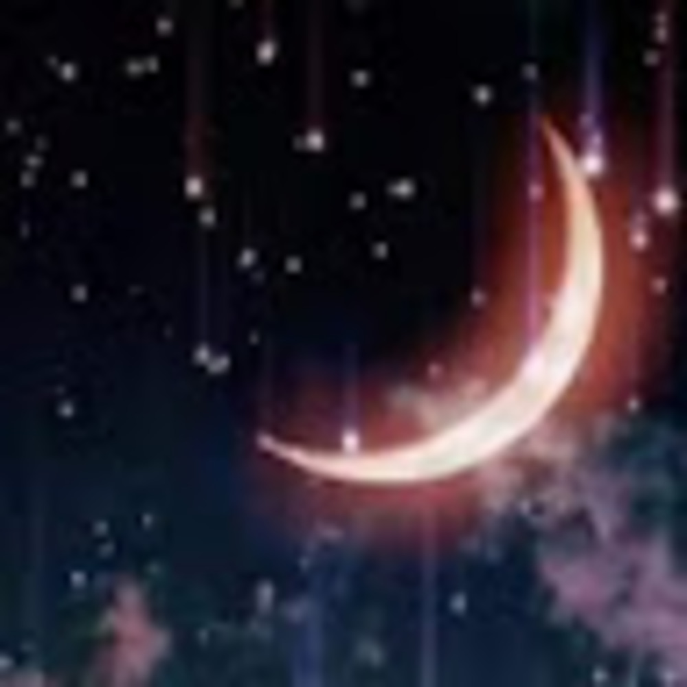 Meet your Posher, Stardust